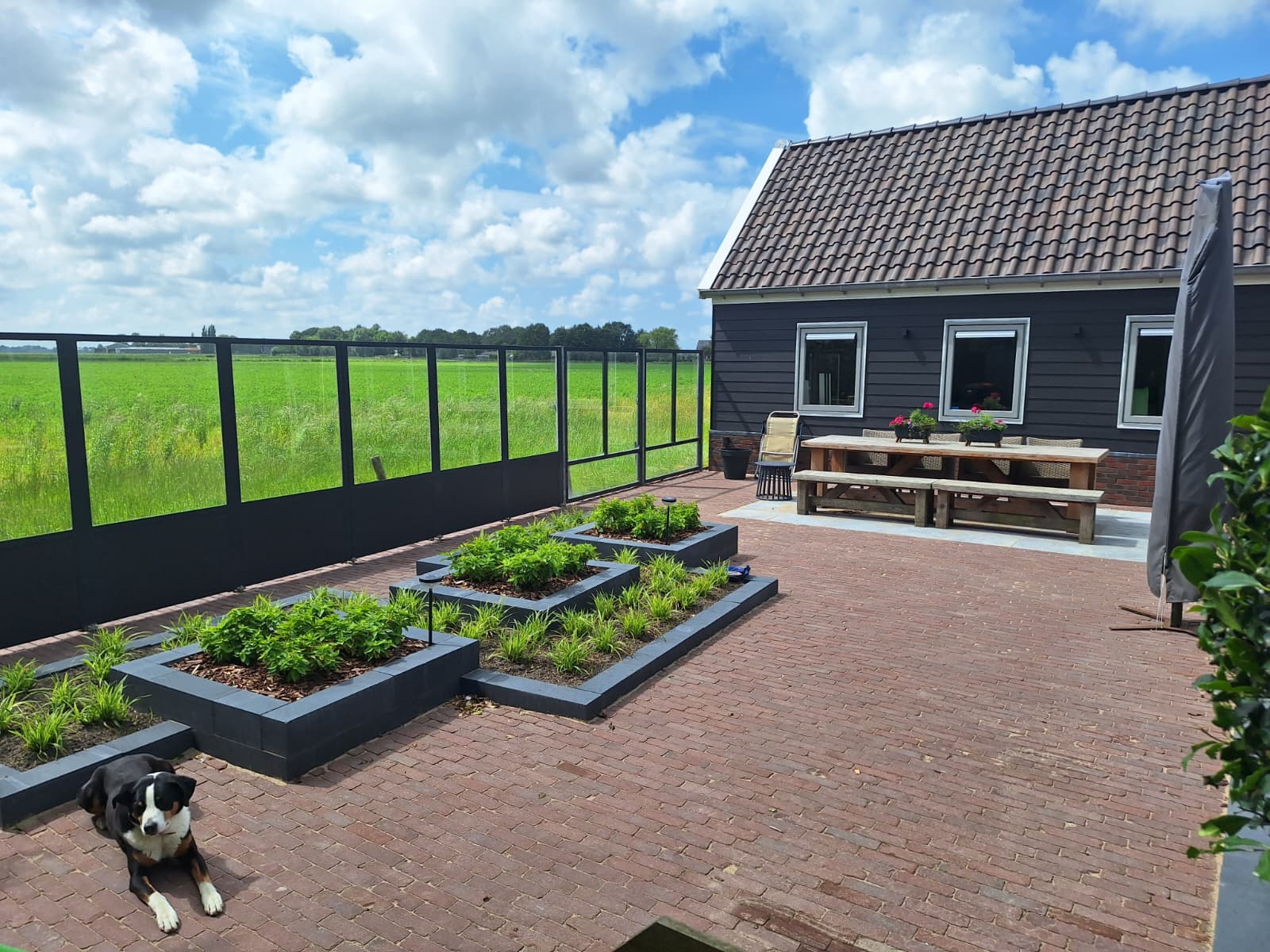 Terras met uitzicht over het weiland